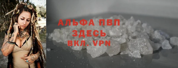 спайс Инта