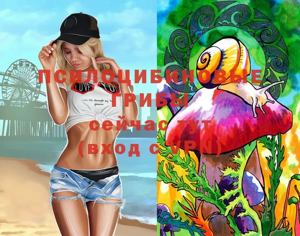 mdpv Зеленокумск